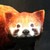 :iconkikuneechan: