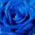 :iconkikyo765123: