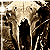 :iconkillartworks: