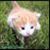 :iconKilled-dream: