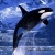 :iconkiller-whales-love: