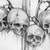 :iconkiller954: