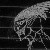 :iconkillerbear069: