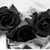 :iconkillerchocolate: