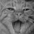 :iconkillerkilljoy: