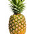 :iconkillermelon2:
