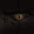:iconkilleroflight: