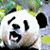 :iconkillerpaunda: