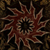 :iconkillersevendesigns: