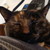 :iconkillerthefox:
