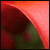 :iconkillerwibble: