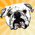 :iconkillfast:
