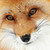 :iconkillian-harlow: