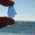 :iconkilling-joshua-paris: