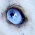 :iconkillingonfriday: