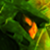 :iconkillm4nu: