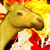 :iconkillmeorkissme: