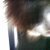 :iconkillthehouselight: