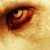 :iconkillxyourxtv: