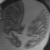 :iconkilly666:
