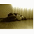:iconkillyourself4me: