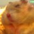 :iconkilt212: