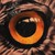 :iconkimanger:
