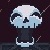 :iconkimariejones: