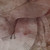 :iconkimarts: