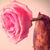 :iconkimasavor: