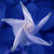 kimayame :iconkimayame: