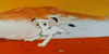 :iconkimba-the-white-lion: