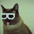 :iconkimbax:
