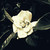 :iconkimberleelightning:
