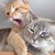 :iconkimberlyand: