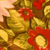 :iconkimbil: