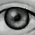 :iconkimbotan: