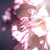 :iconkimi-lady: