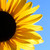 kimi544 :iconkimi544: