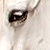 :iconkimmieknabbel: