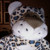 :iconkimmy233: