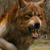 :iconkimmyscifo: