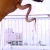 :iconkimon5: