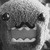 :iconkimoshii: