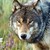 :iconkimsartlife06: