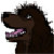 :iconkinalara-sohru: