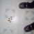 :iconkincan: