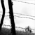 :iconkinder-drogs: