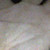 :iconkindredtroll: