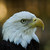 :iconking-dolphin: